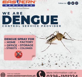 Dengue Spray Service in Karachi Dengue Spray Service PECHS Karachi | Dengue Spray Service Korangi Karachi | Dengue Spray DHA Karachi