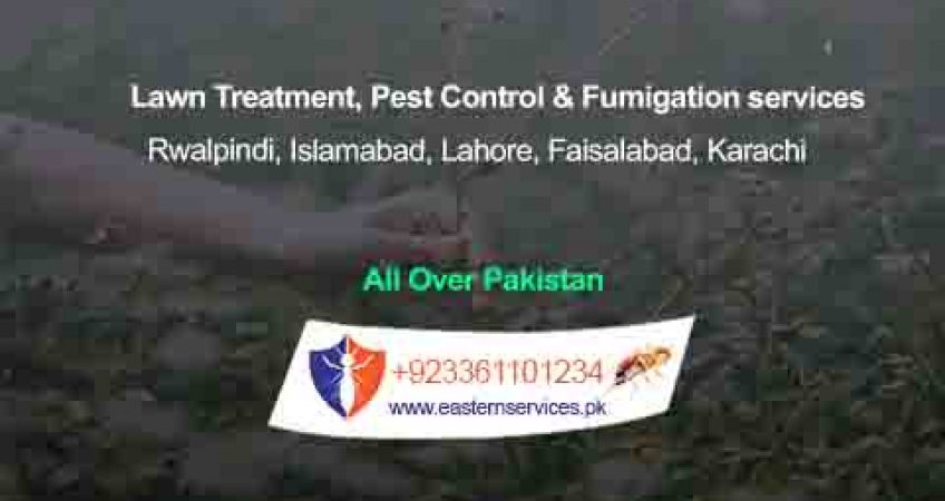 Lawn Treatment services in rawalpindi, Islamabad Pakistan