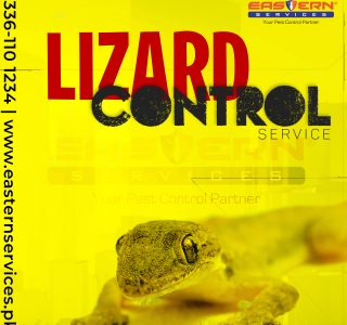 Lizard Control Service in Islamabad