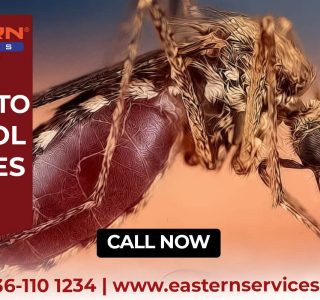 Mosquitoes Fumigation Services