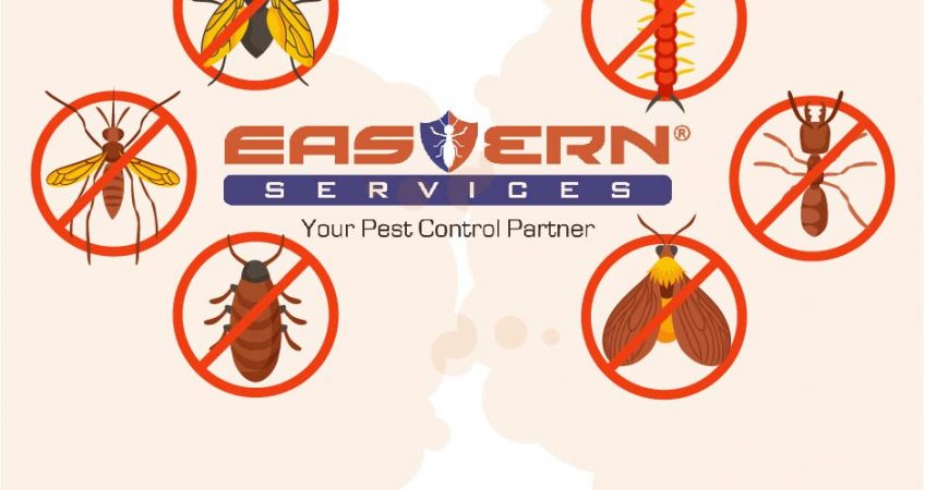 Pest Management Company Pakistan