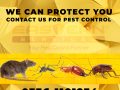 Insect Control Service in i8 i9 i10 Islamabad