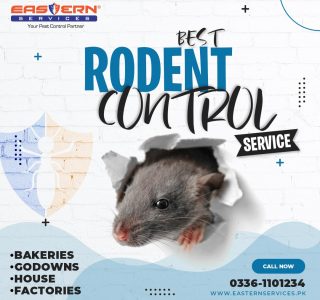 Rodent Control Service Islamabad