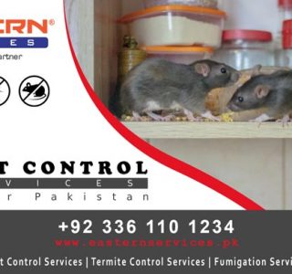 best Rodent control services