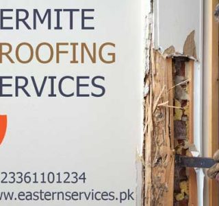 Termite Proofing Service Rawalpindi