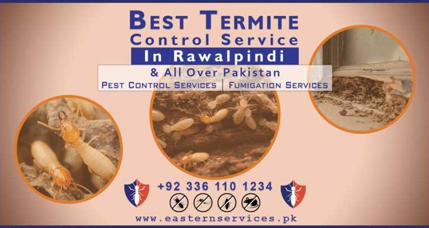 Termite control service in Rawalpindi