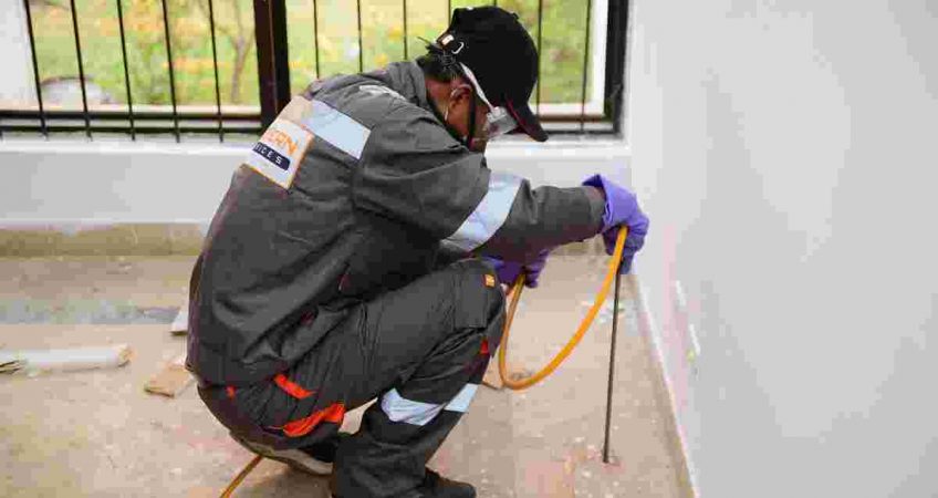 Termite control services in Islamabad