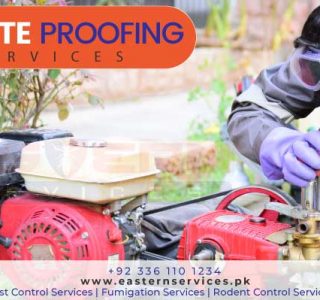 the best Termite proofing services Islamabad Pakistan