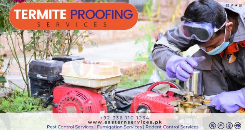 the best Termite proofing services Islamabad Pakistan