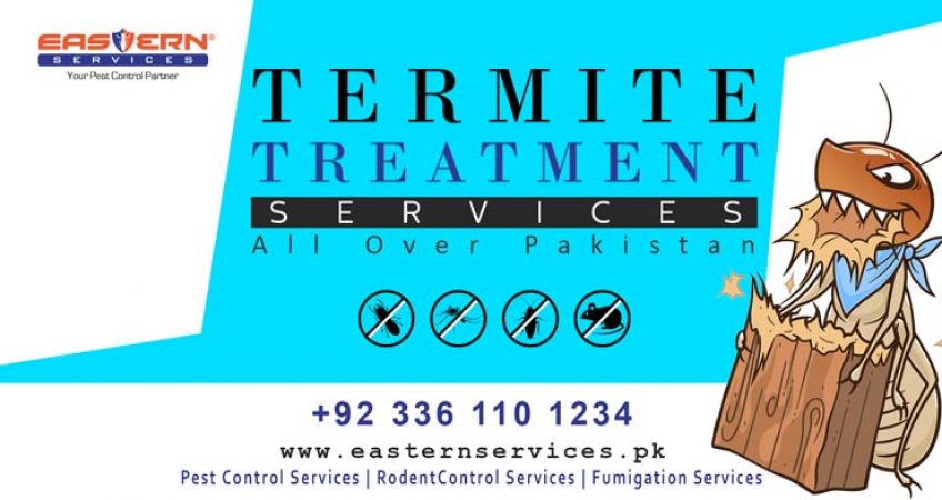 best termites treatment services
