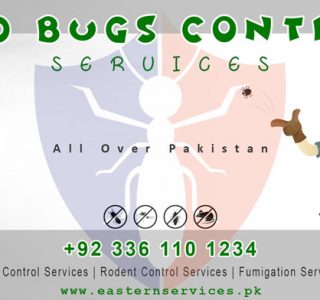 best bedbugs control services