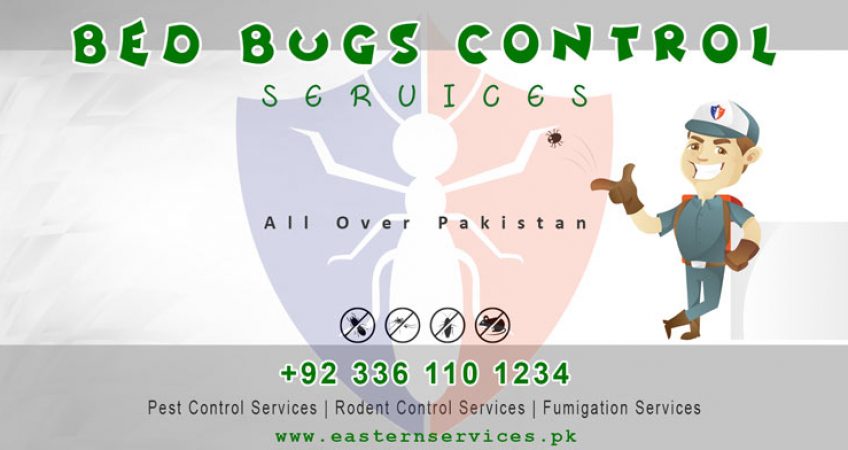 best bedbugs control services