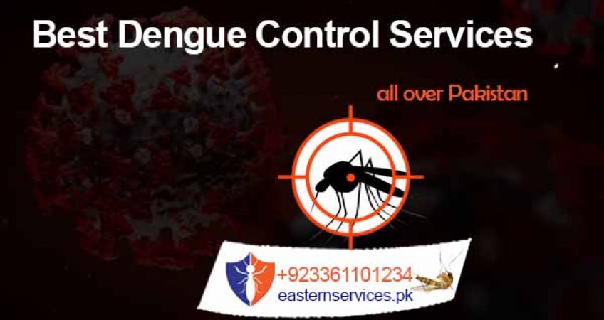best dengue control services in rawalpindi