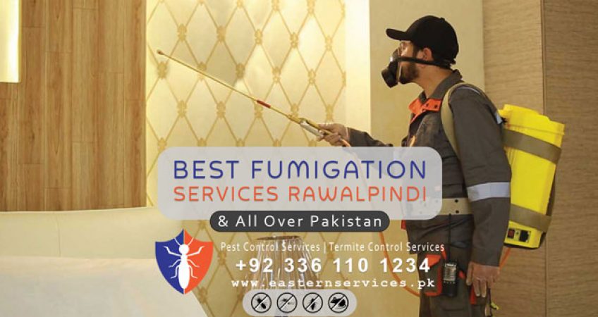 best fumigation services in Rawalpindi