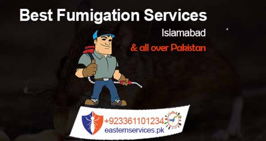 best fumigation services Rawalpindi