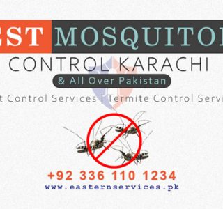 best mosquitoes control services Karachi