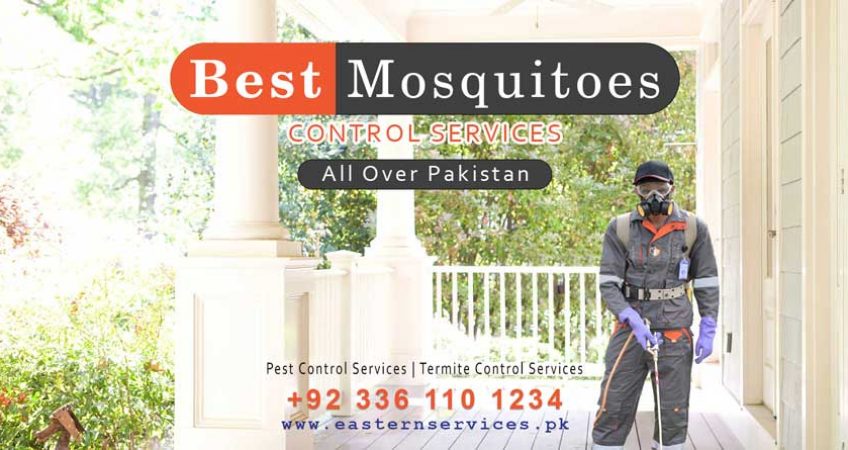 Best mosquitoes control services all over Pakistan