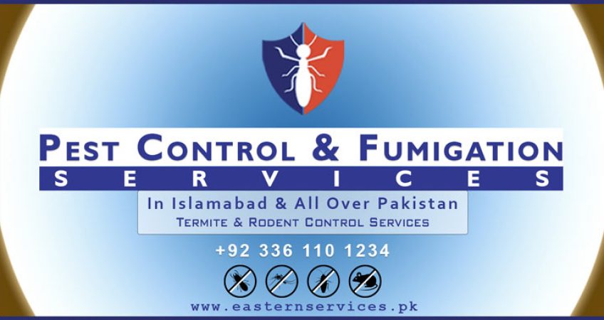 pest control company in Islamabad