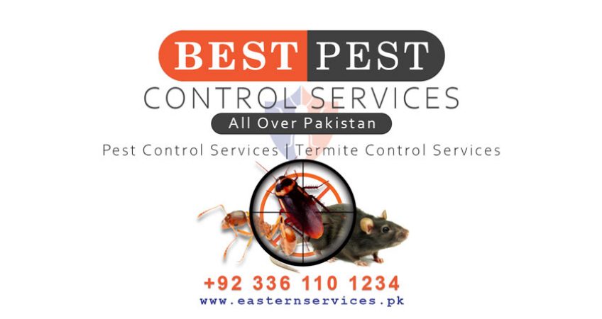 best pest control services pakistan