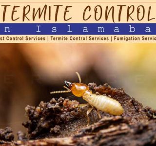 best termite control in Islamabad