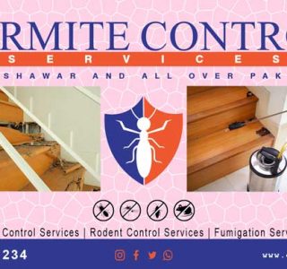 best termite control service in Pakistan
