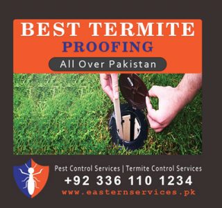 best termite proofing Pakistan