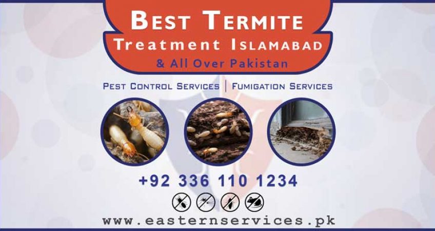best termite treatment in Islamabad