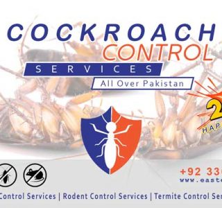 best cockroach control near me