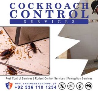 best cockroach control services in Hyderabad