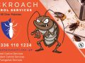 best cockroach killer