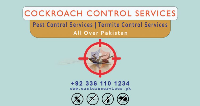 cockroaches control services near me