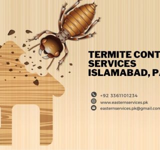 Termite control Islamabad