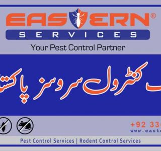 best demak control services in Pakistan