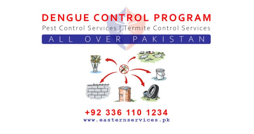 dengue control services all over pakistan