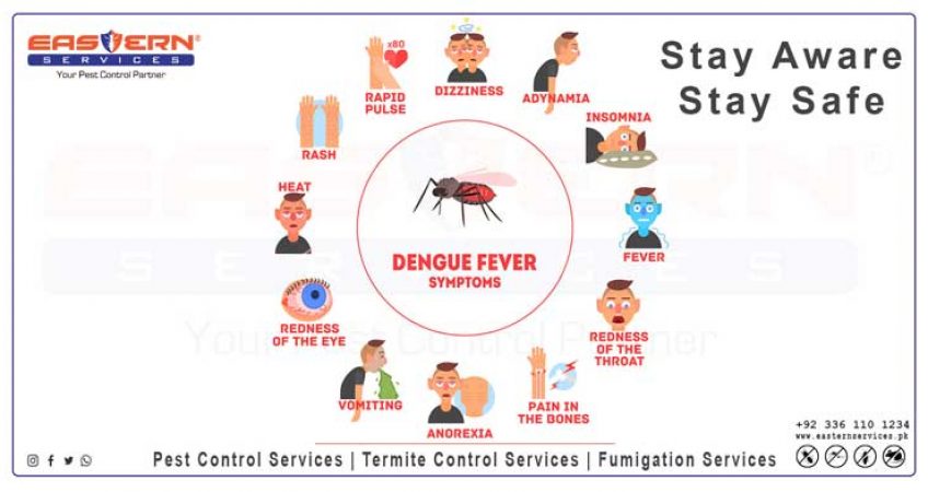 dengue fever prevention services