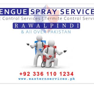 Dengue spray services Rawalpindi