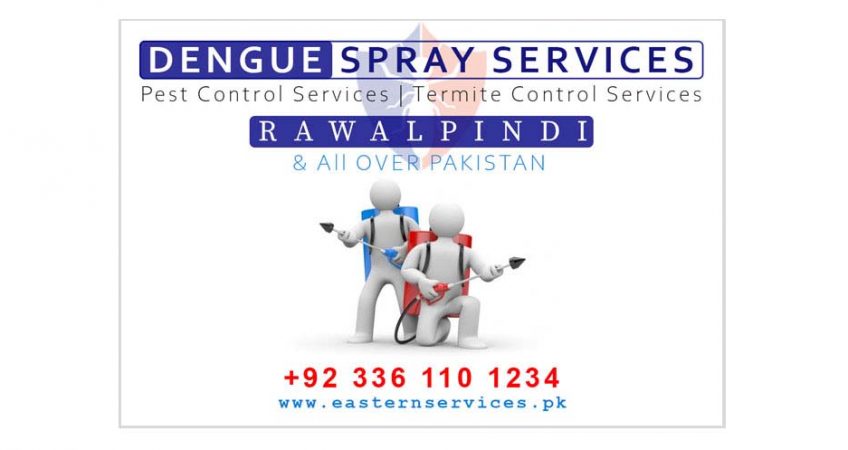 Dengue spray services Rawalpindi