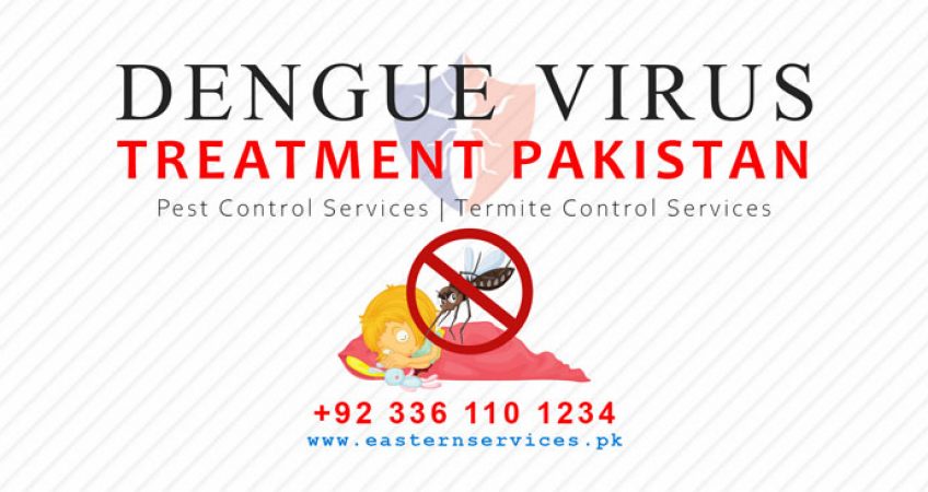 dengue virus treatment services Pakistan