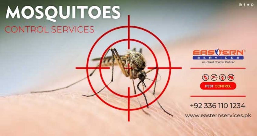 Mosquitoes Control in Pakistan