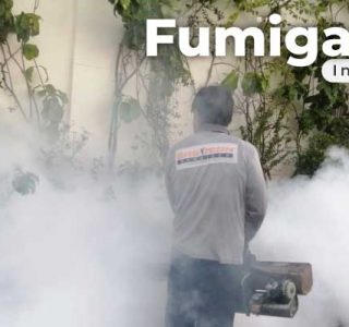 Fumigation Services in Pakistan