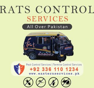 Rats control services in Islamabad