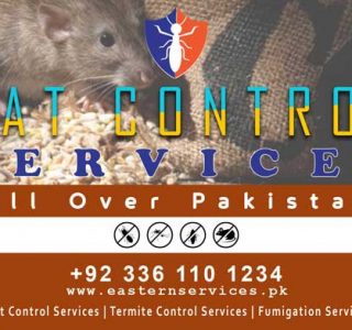 best rats control services near me