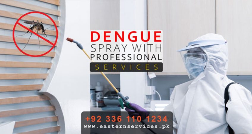 Dengue mosquito control spray in pakistan