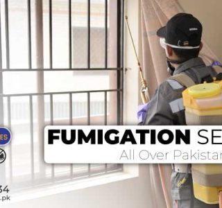 Best fumigation in Islamabad