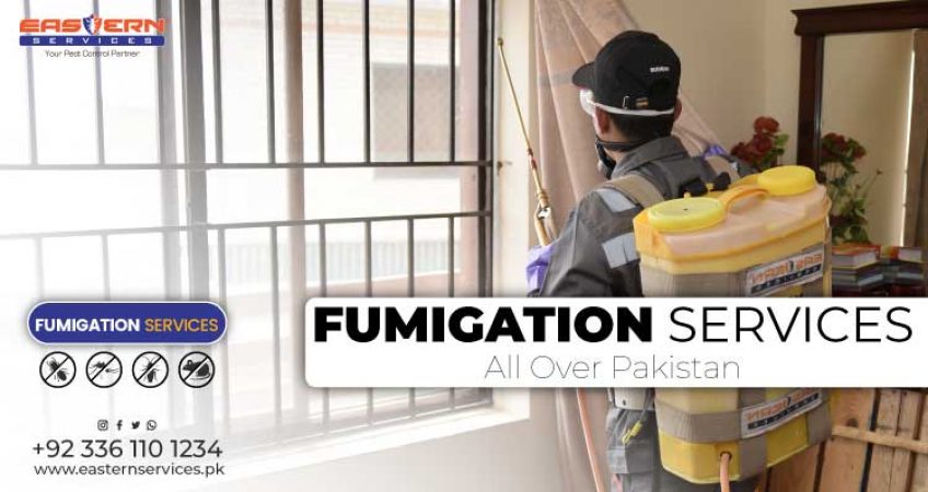 Best fumigation in Islamabad