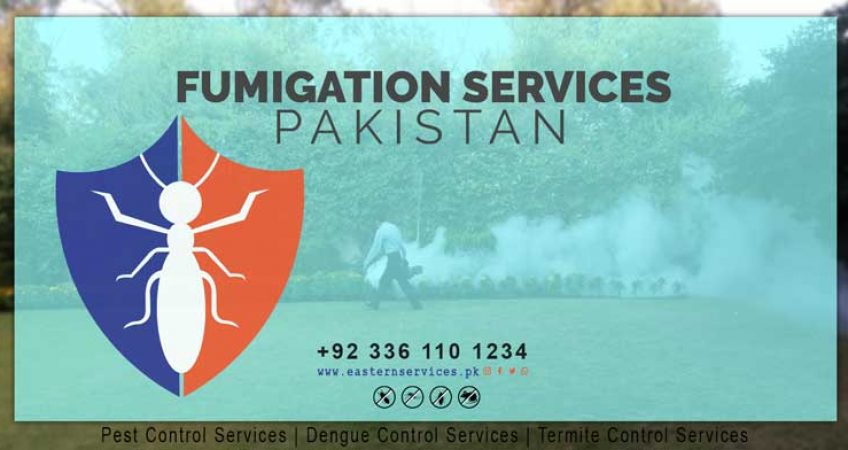 best fumigation services in Islamabad