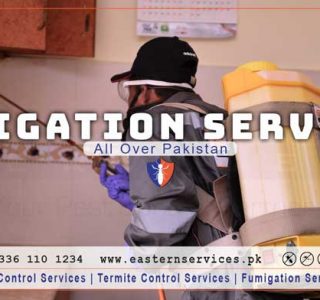 best fumigation services in Karachi