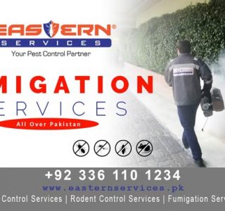 best fumigation services in Pakistan