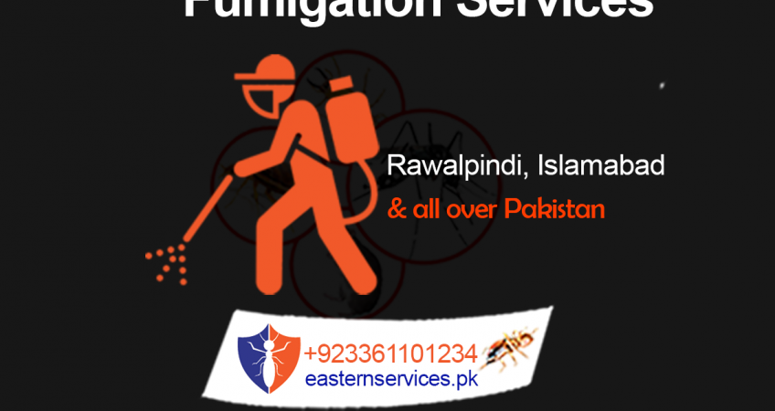 best fumigation services in rawalpindi