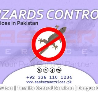 best lizard control services
